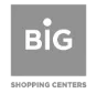 לוגו Big